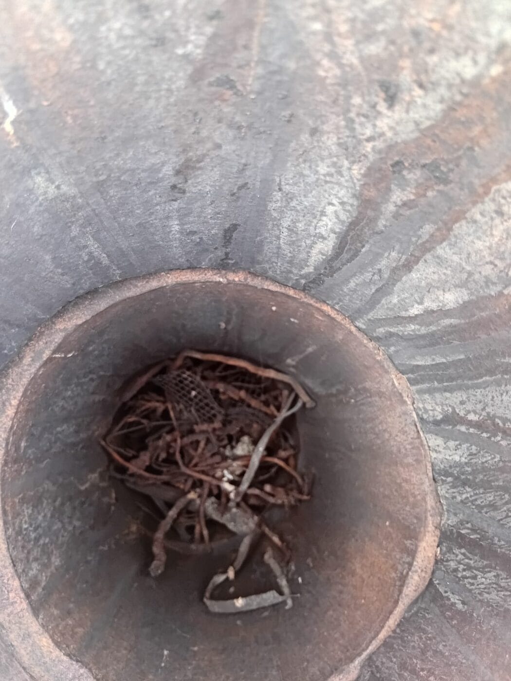 Nest of twigs blocking the inside of a chimney flue